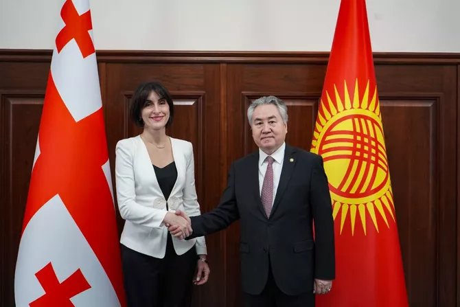 Kyrgyzstan, Georgia Deepen Bilateral Partnership