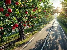 Kyrgyzstan Launches Roadside Fruit Orchard Project
