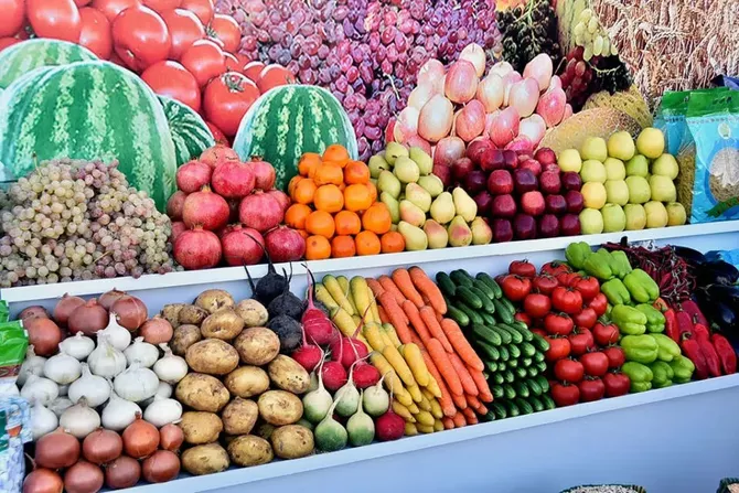 Turkmenistan’s Lebap Shows Strong Rise in Farming Output