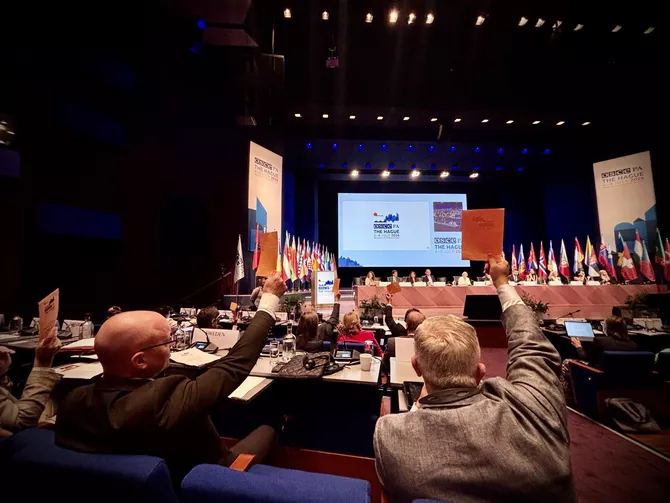 Georgia Boycotts OSCE Vote Over Democracy Criticism