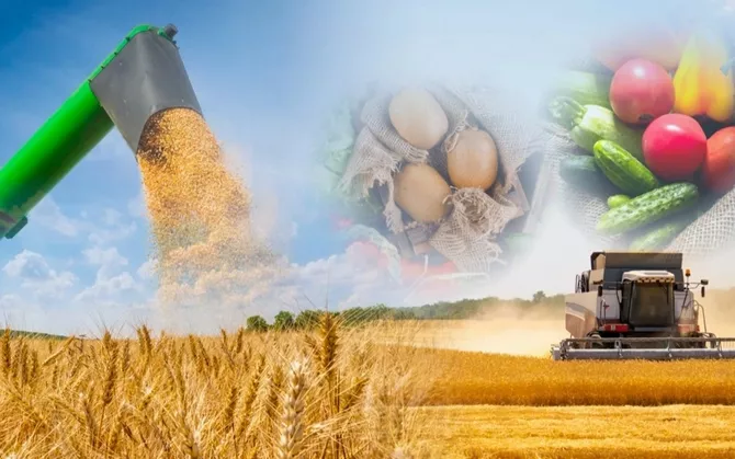 Tokayev Hails Rapid Transformation in Kazakhstan’s Villages