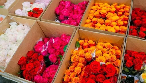 Armenian Flowers Dominate Georgia’s Market with Record-Breaking Imports