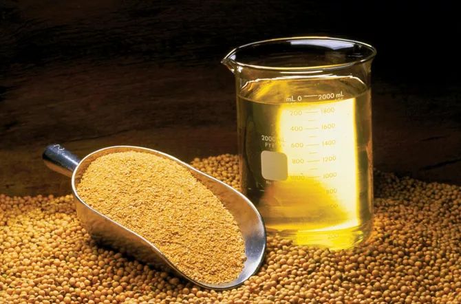 Russia’s Oryol Region Sends First Shipment of Soybean Meal to Kyrgyzstan