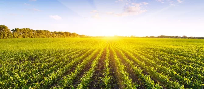 Uzbekistan to Launch Academy for Agricultural Development