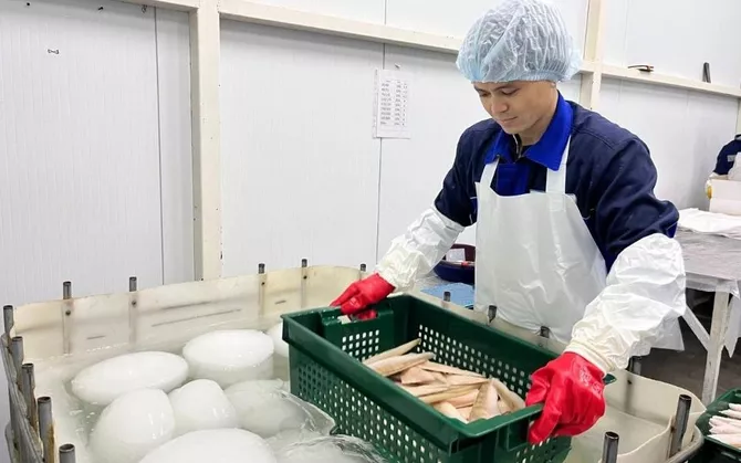 Kazakhstan’s Fishery Sector Drives Growth and Food Security
