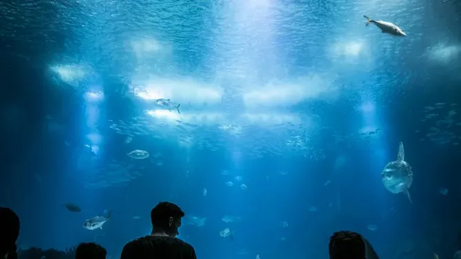 Kazakhstan to Get New Park Featuring Aquarium, Butterfly Museum