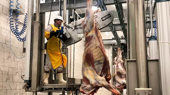 Kazakh Court Jails 30 in Huge Meat Industry Subsidy Scheme