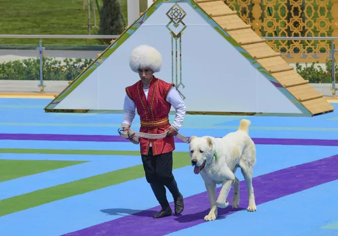 Turkmen Alabay Dog Breeding Joins UNESCO Intangible Heritage