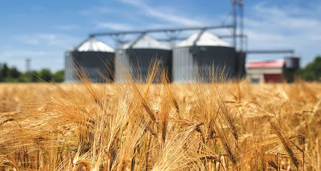 Why the First Grain Shipment Matters for the South Caucasus