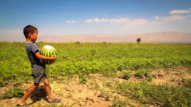 Tajikistan Boosts Agricultural Output