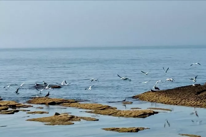 Turkmenistan Calls Caspian Sea a “Sea of Peace” after Vessel Attack