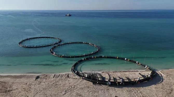 Fishery Sector Thrives in Kazakhstan with Rising Exports