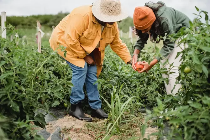 France Opens Farm Jobs for Uzbek Workers With €1,650 Monthly Salary