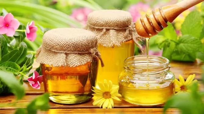 Uzbekistan Opens Market to Kyrgyz Honey in New Agreement