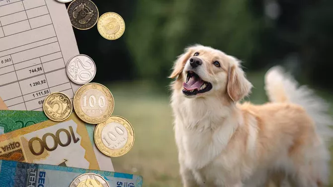 Kazakhstan Considers Taxes for Dog Owners