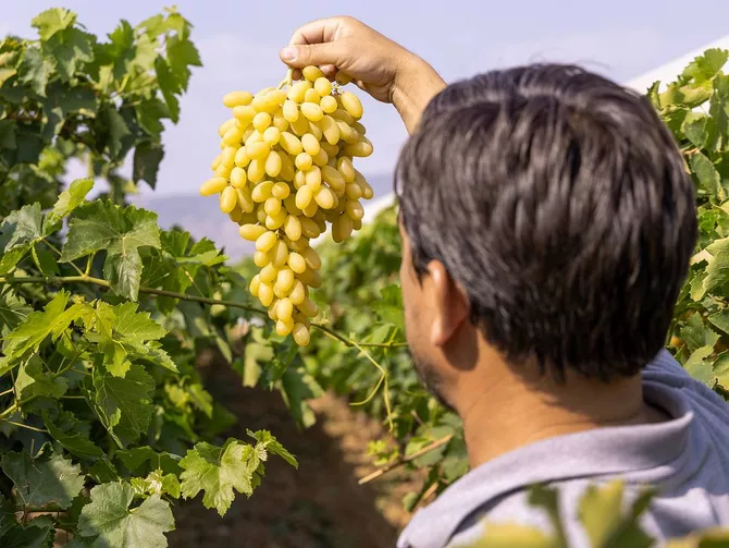 Armenia Approves $8.5 Million Aid Package to Help Exporters Find New Markets - VIDEO