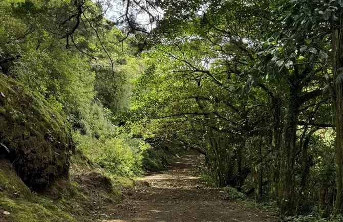 Georgia to Create New National Park Near Azerbaijani Border