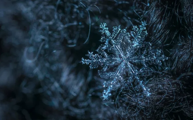 Severe Winter Storms Hit 12 Regions of Kazakhstan