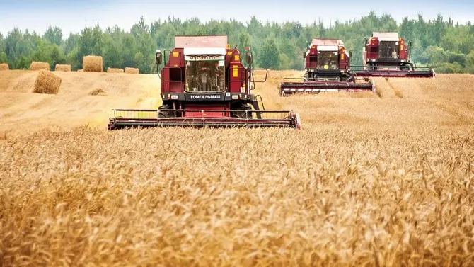 Uzbekistan to Develop Livestock Farming on Leased Land in Belarus