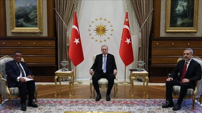 Erdogan's Visit to Ethiopia: A New Geopolitical Balance in the Horn of Africa
