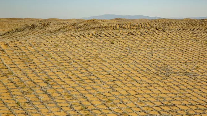 China, Uzbekistan Strengthen Fight Against Desertification