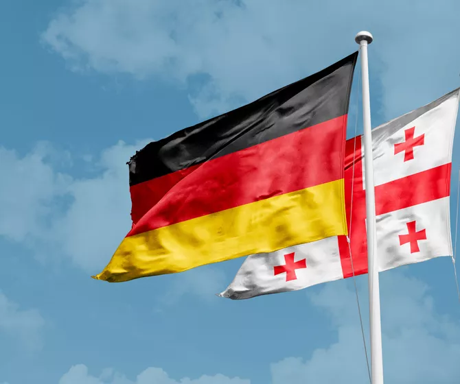 Key Differences Between Georgia and Germany’s Laws on Rejecting Government Legitimacy
