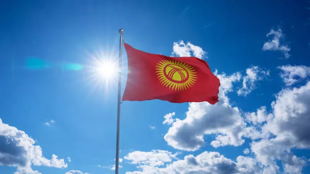 Kyrgyzstan Names Key Driver of Tax Reforms