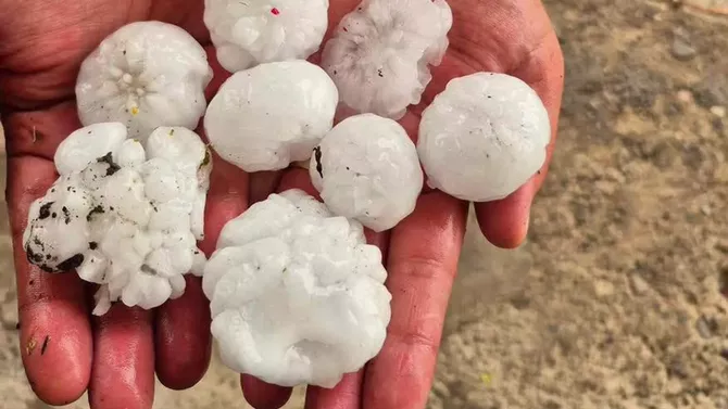 Egg-Sized Hail Devastates Crops in Armenian Villages, Leaving Farmers Reeling