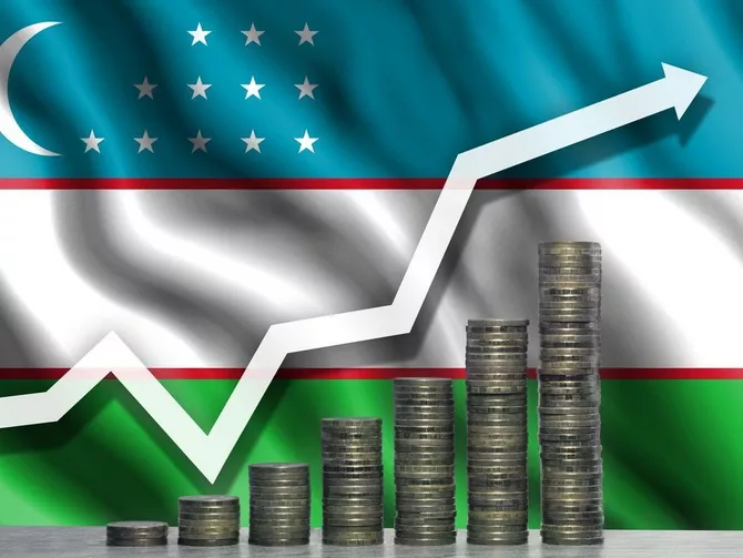 Which Sectors Draw the Most Investment in Uzbekistan?