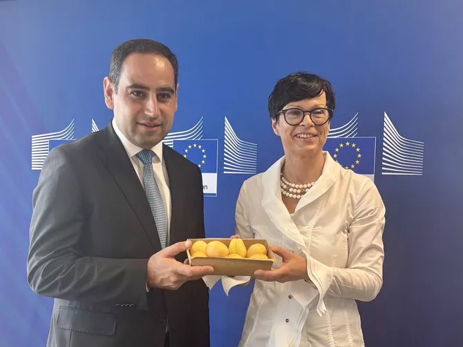 Armenian Apricots Reach EU Market as Russia Tightens Import Restrictions