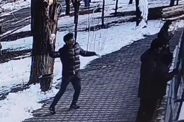 Tashkent Zoo Warns Visitors After Snowball Attack on Tigers