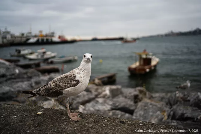 Latest News & Breaking Stories | Stay Updated with Caspianpost.com - The Caspian Needs Action, Not Declarations