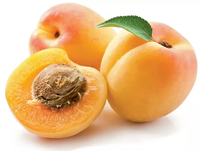 Armenia Opens New Export Route as Apricots Head to Singapore - VIDEO
