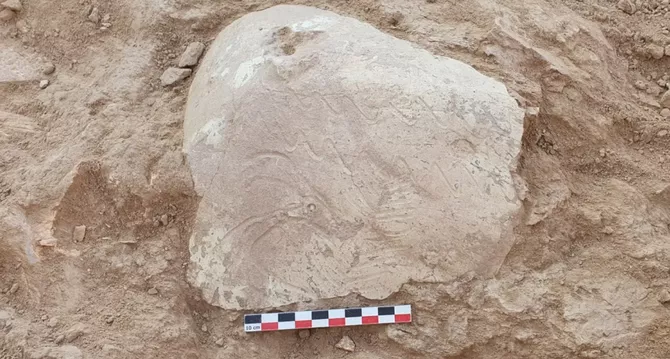 Archaeologists Discover Ancient Altar and Unique Ossuary in Uzbekistan