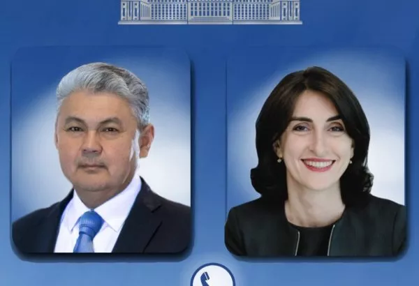 Kazakh, Georgian FMs Assess Bilateral Relations, Trade Ties