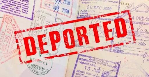 87 People, Including Azerbaijani Citizens, Deported from Georgia