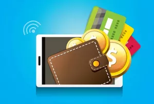 Kyrgyz Shops Reject E-Wallets, Accept Cash Only