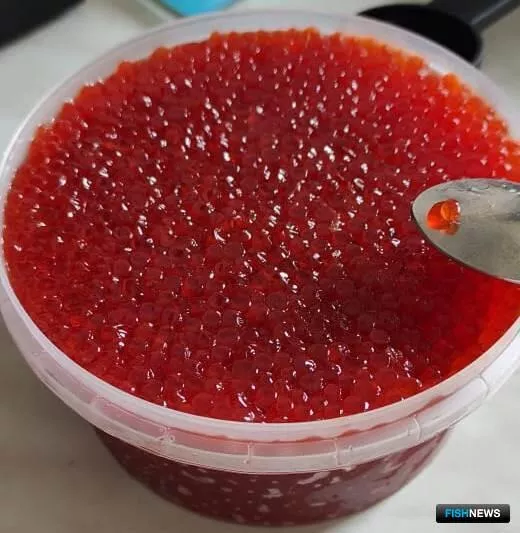 Azerbaijan Turns to Kazakhstan for Caviar Alternatives