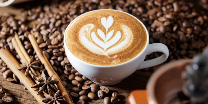 Sierra Leone Offers Land to Russian Coffee Producers