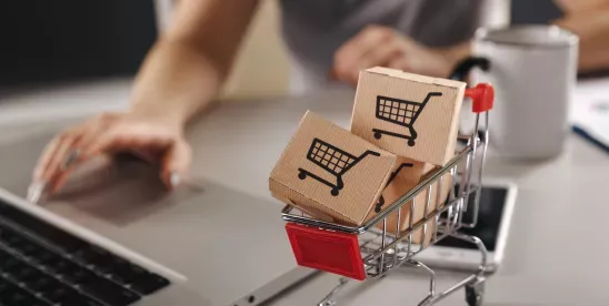 Georgia’s E-Commerce Market Grows Rapidly, Targeting GEL 10.7 Billion by 2030