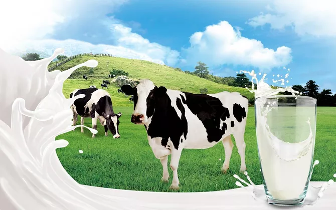 Kazakh Businessman Loses Milk Subsidies in Casino Gambling Scandal