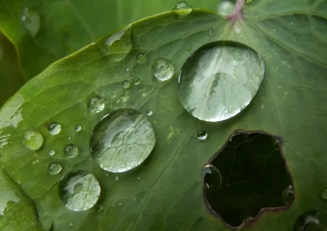 Acid Rain from Iran May Hit Kyrgyzstan Amid Middle East Conflict