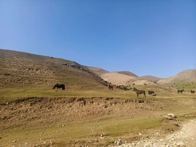 Warm Winter in Tajikistan Brings Big Risks for Farmers