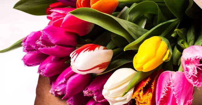 Armenian Flowers Bloom in Ukraine’s Market: What’s Behind Shift