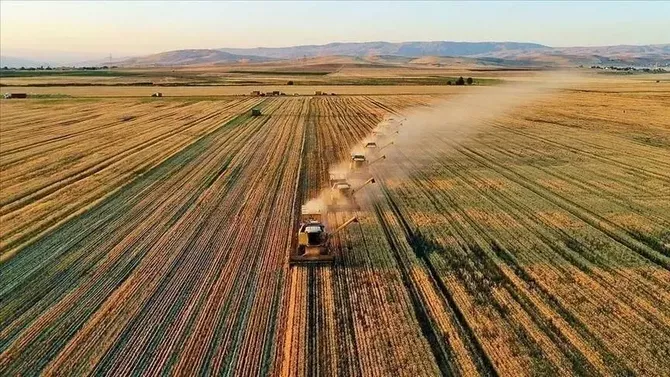 Türkiye Secures $750M World Bank Financing for Agrifood Sector