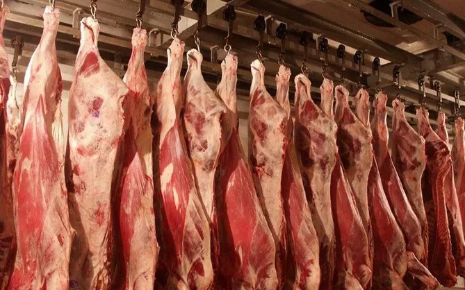 Kazakhstan Boosts Global Exports of Meat, Dairy