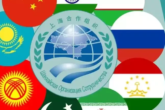 Tajikistan Calls for Expanded SCO Joint Drills Amid Rising Security Threats
