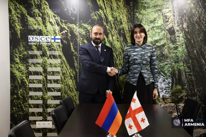 Armenian, Georgian FMs Meet in Vienna