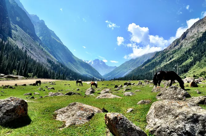 Latest News & Breaking Stories | Stay Updated with Caspianpost.com - At Bishkek Business Forum, US Tries to Build Links as Visa Barriers Rise