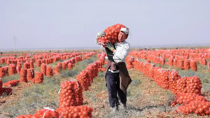 Latest News & Breaking Stories | Stay Updated with Caspianpost.com - Khayotjon Ibragimov: “C6 Is Creating a New Eurasian Institutional Architecture” - INTERVIEW